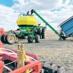 Two farmers auger lentil seeds from a grain truck into an air seeder.