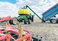 Two farmers auger lentil seeds from a grain truck into an air seeder.