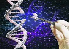 Graphic of the rubber-gloved hand of a scientists holding a pair of tweezers and removing a segment of DNA from a longer strand, illustrating gene editing.