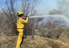 A firefighter wearing yellow, fire-retardant shirt and pants, a fire helmet and a respirator sprays water on a wildland fire that has gotten into a patch of trees and brush.