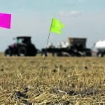 Small flags denote trial areas in a larger field. A tractor pulling a seeder and an anhydrous tank is visible in the background.