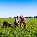 An older farmer kneels with a younger farmer in a field, a dog is nearby.