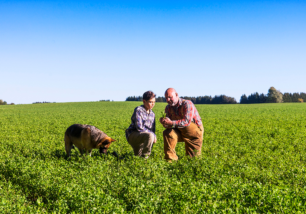 An older farmer kneels with a younger farmer in a field, a dog is nearby.