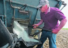 A farmer scoops the last of a load of fertilizer from the tilted box of his farm truck.