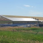 A hog barn is under construction, tin roofing is just starting to be installed on the wooden structure.