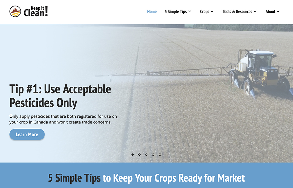 Screencap of the Keep It Clean website.
