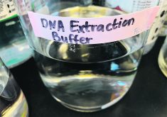 A clear beaker is sitting on a counter in a lab, it has a clear liquid in it and is labelled, "DNA extraction buffer."
