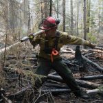 A wildland firefighter drags a hose through a forest and is spraying water to extinguish a fire. In the background fallen and burnt trees litter the forest floor.