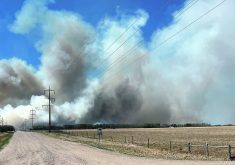 Smoke rises high into the sky from a wildfire photographed from a few hundred meters away down a rural grid road.