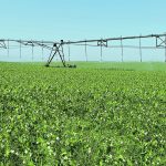 A couple sections of pivot irrigation in a field on the prairies.