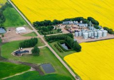 Aerial photo of a large farmyard, complete with bin yard, dugout and multiple shops and out buildings. The farm is surrounded by yellow canola in full bloom.