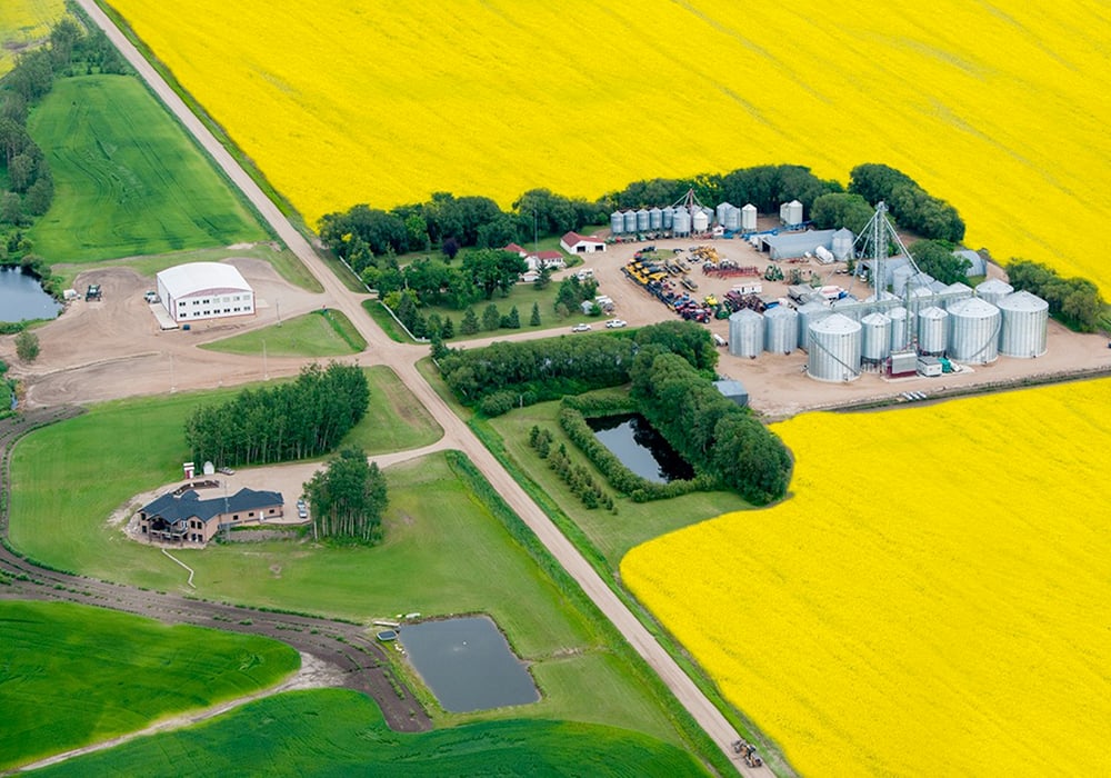 Aerial photo of a large farmyard, complete with bin yard, dugout and multiple shops and out buildings. The farm is surrounded by yellow canola in full bloom.