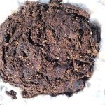 Close-up image of a cow patty from above.
