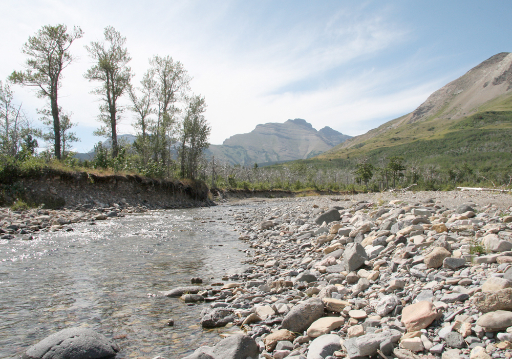 A low angle shot of some rocks along the banks of the Oldman River in Alberta.