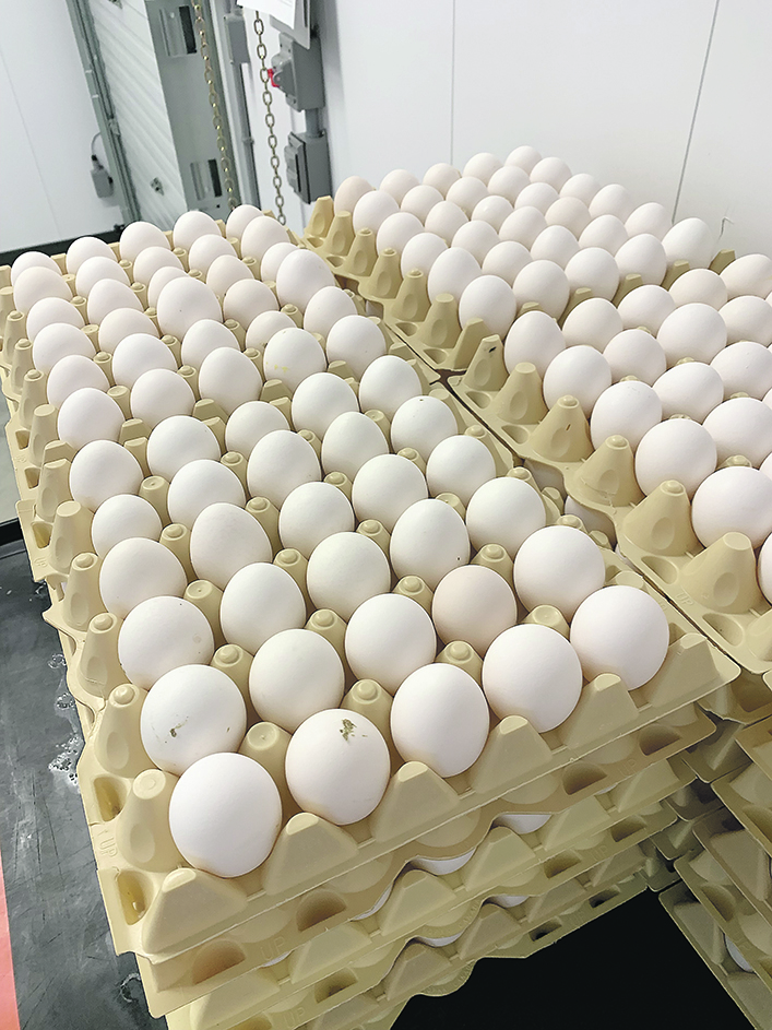 Close-up of the top of a pallet stacked high with eggs in cartons.