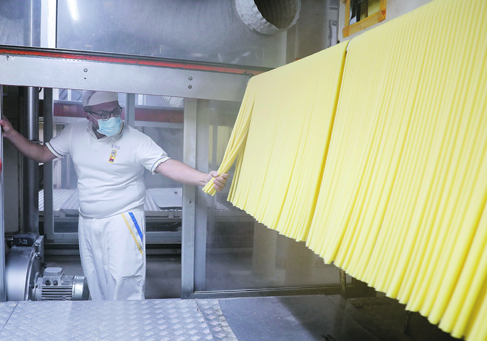 A man checks large noodles in an industrial pasta-making facility.