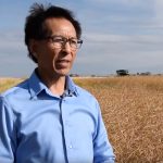 Former Agriculture Canada research scientist Yantai Gan standing in a field.
