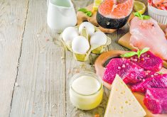 A selection of foods on a table, including meat, chicken, fish, eggs, cheese and milk,