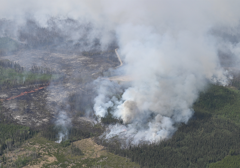 An aerial view of a large fire in a forested area. Smoke billows high into the sky.