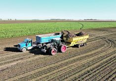 An overhead drone photo of a tractor pulling a hopper filled with beets transferring them to a semi trailer for transport from the field.
