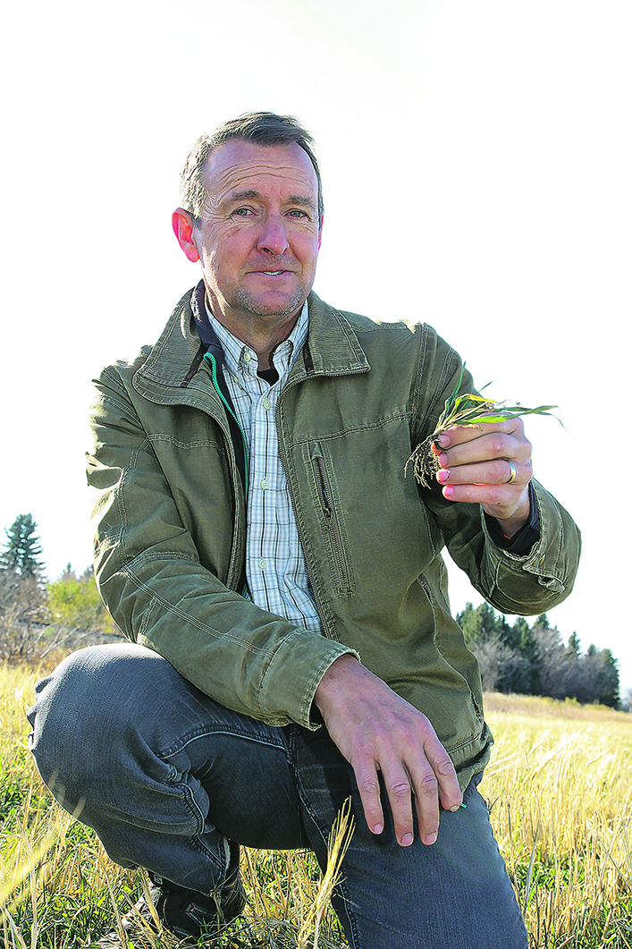 Tom Wolf squats in a field holding a field pea plant.
