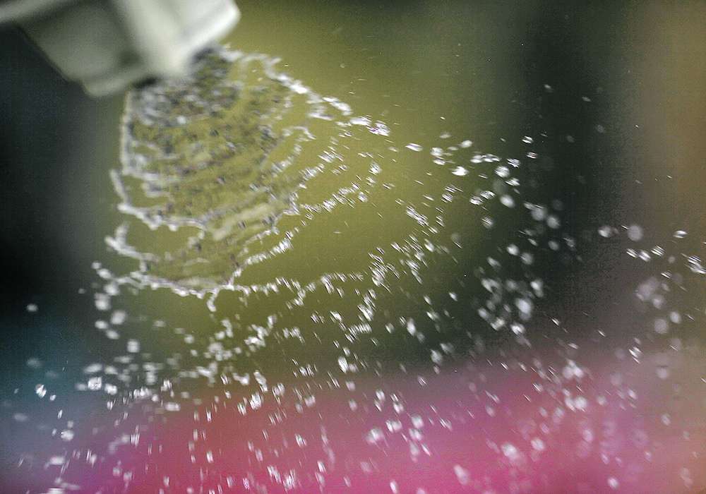 Achieving good fungicide protection in peas requires a bit more time, patience and water volume during spraying. | Mike Raine photo