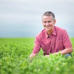 Tom Warkentin, a researcher from the University of Saskatchewan, kneels in a field of peas.