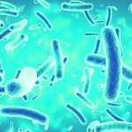 An artist's rendering of tubular-shaped microbes seen up close, as if under a microscope.