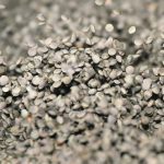 Lentils are processed at Prairie Pulse in Vanscoy, Sask.