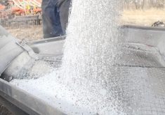 Fertilizer is dumped from a truck into an auger's hopper.