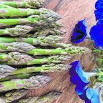 Asparagus spears and purple petunias sit on a table.