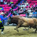 A young cowboy wearing a hockey helmet and cage mask leaps to safety from the back of a bull at the completion of his ride.