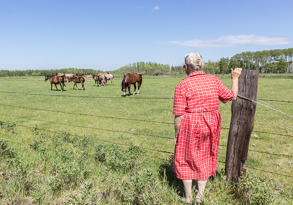 An elderly woman is standing at the corner of a barbed-wire-fenced corral looking at he horses grazing on lush green grass inside.