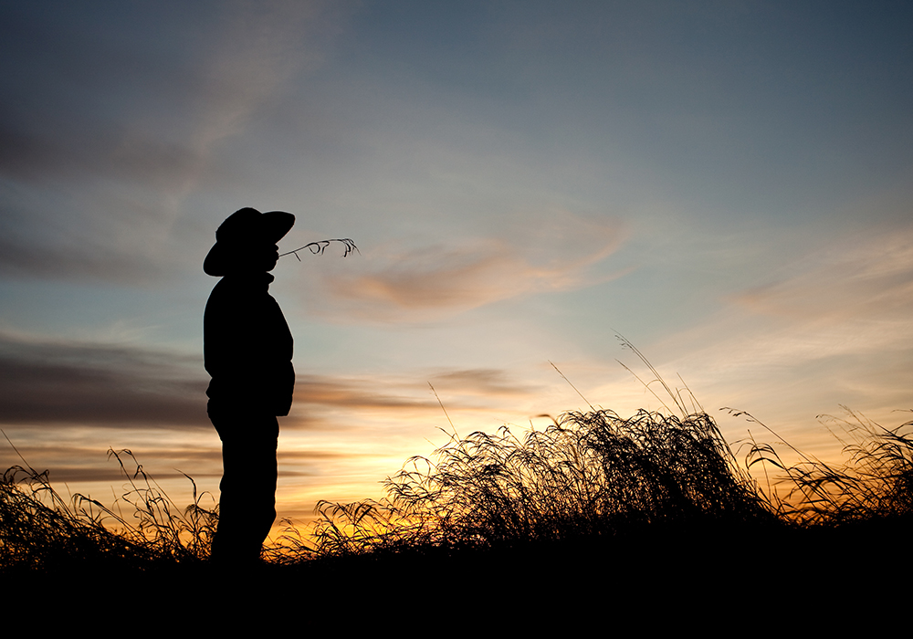 A young boy wearing a cowboy hat stands, silhouetted in front of the setting sun, in a field with a piece of grass in his mouth.