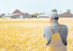 A farmer stands in his wheat field with his arms crossed looking back toward some barns and his yard.