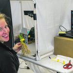 Hannah Schneider, postdoctoral scholar in Jonathan Lynch lab, Penn State University, photographs corn crowns.