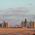 A canola crushing plant at Clavet, Saskatchewan.