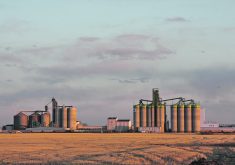 A canola crushing plant at Clavet, Saskatchewan.
