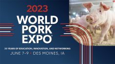 2023 World Pork Expo promotional image featuring a young pig in an indoor barn.