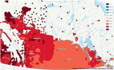 A map of western Canada showing most of the Prairie provinces covered in red, indicating a warmer than normal summer forecast.