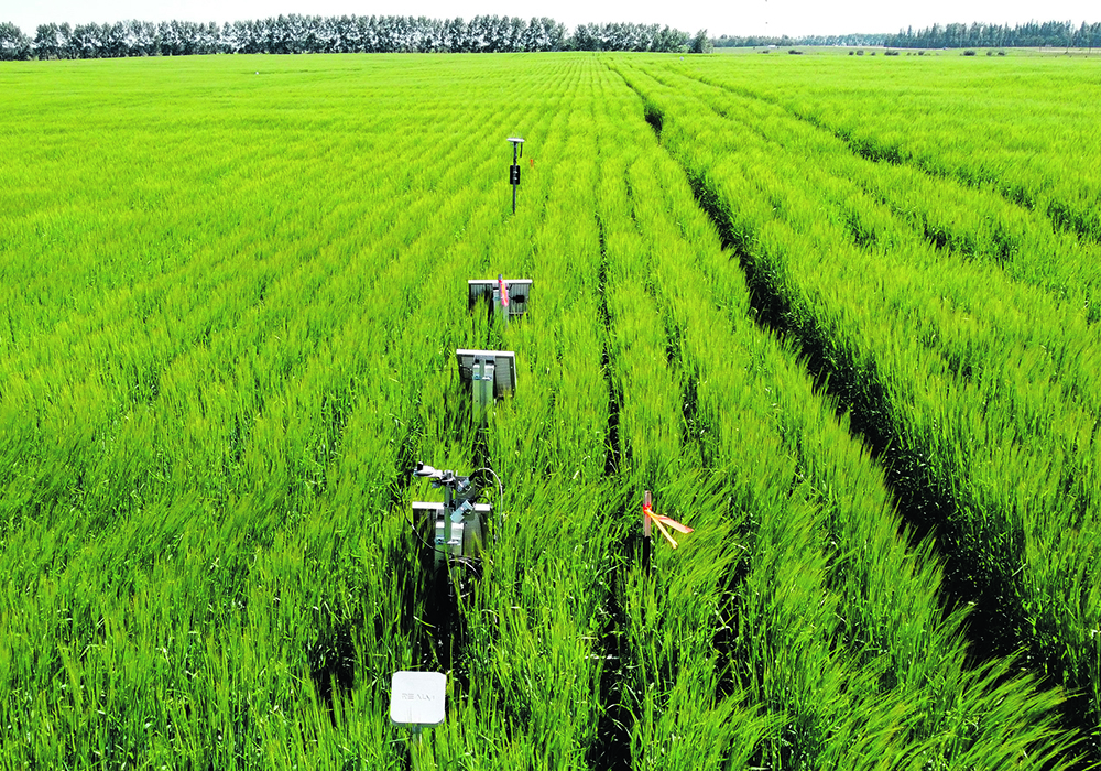 A project at the Olds College Smart Farm, called Advancing Agronomy Through HyperLayer Data Collection and Analytics, produces and stores agricultural data sets, including soil nutrient tests, moisture maps, topographical information, yield data, as well as multispectral and hyperspectral imagery. The information is used to train artificial intelligence and machine learning programs. |  Photo supplied by Alex Melnitchouk