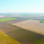 An aerial photo of the Prairies showing the patchwork of various crops.