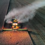A drone shot above and in front of a combine with its lights on harvesting wheat near sunset in Alberta.