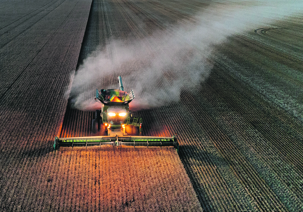 A drone shot above and in front of a combine with its lights on harvesting wheat near sunset in Alberta.