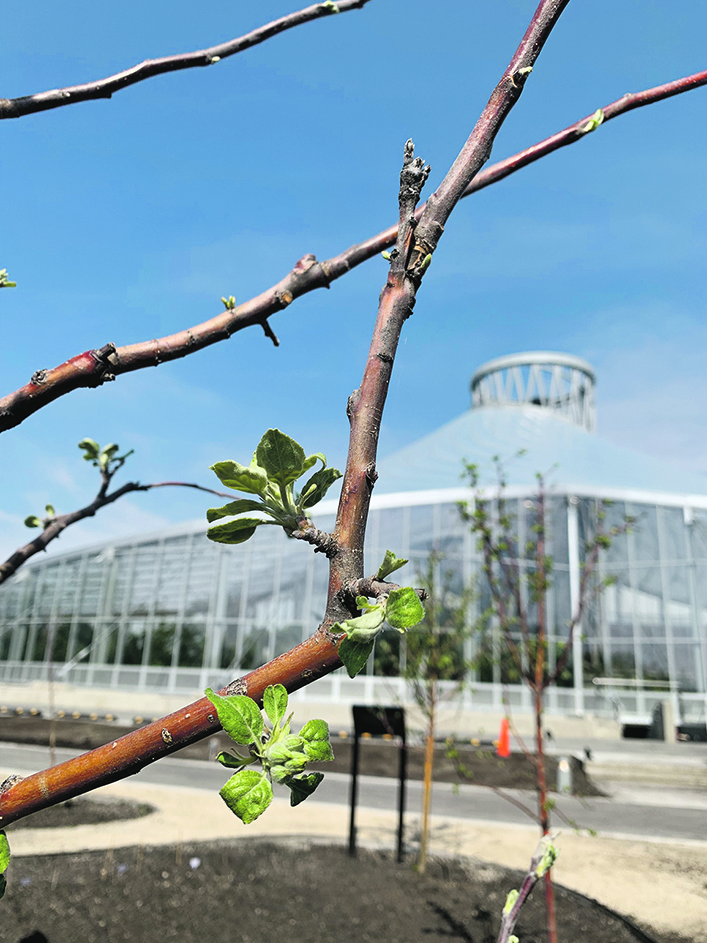 The Leaf botanical conservatory in Winnipeg's Assiniboine Park.