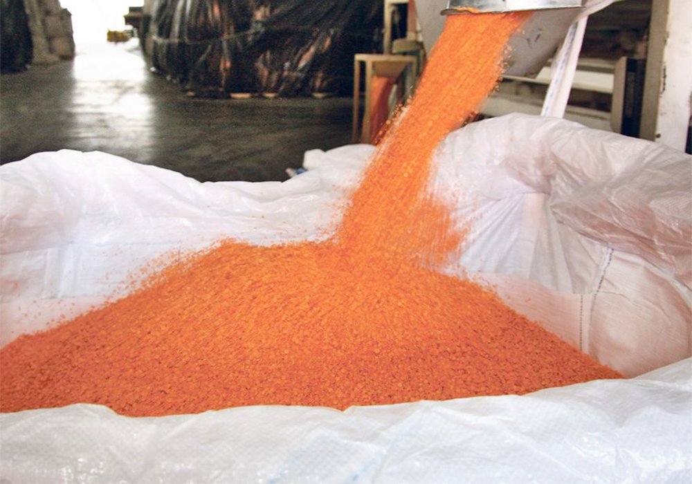 Red lentils are loaded into a bulk bag.