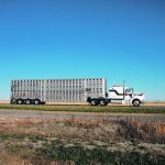 A cattle liner drives by on a highway.