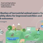 The cover of a United Nations Food and Agriculture Organization report called, "Contribution of terrestrial animal source food to healthy diets for improved nutrition and health outcomes."