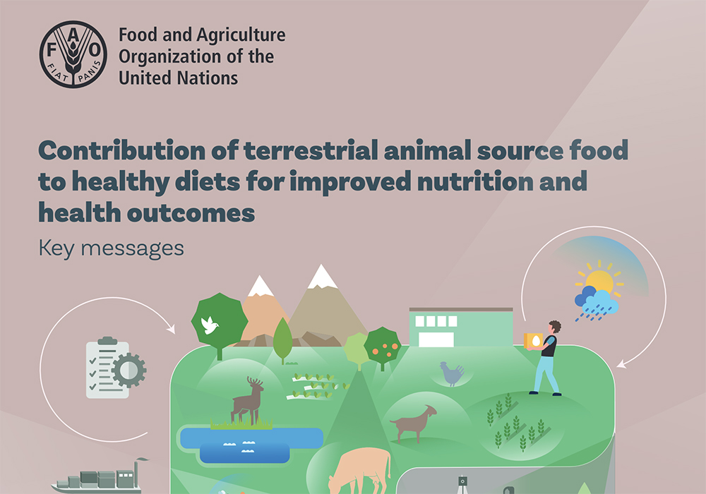 The cover of a United Nations Food and Agriculture Organization report called, "Contribution of terrestrial animal source food to healthy diets for improved nutrition and health outcomes."