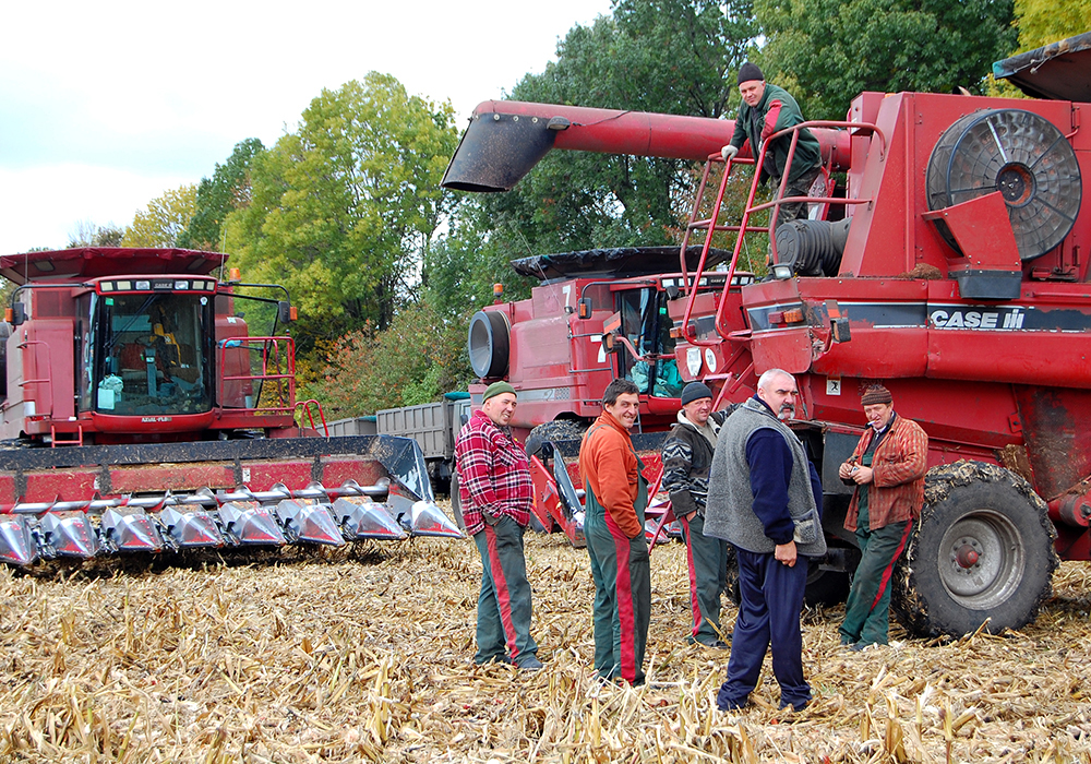 Ukrainian men gather around several combines as they prepare to harvest during a war.